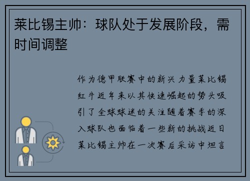 莱比锡主帅：球队处于发展阶段，需时间调整